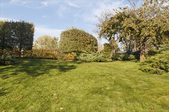 Cottage garden with green lawn, trees, hedges, trimmed bushes. Modern landscape design