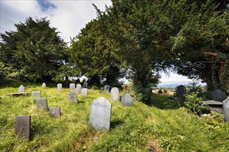 Old gravestones in a meadow, graves in a cemetery, good summer weather, St Garmons Church, Capel