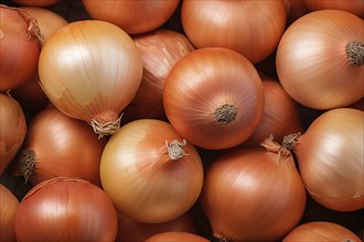 Close up of many raw onions. KI generiert, generiert, AI generated