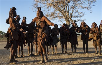 Group of traditional Himba woman standing in a semi-circle, clapping and dancing, music and dance,