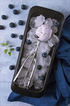 Blueberry ice cream, container with a spoon, on a gray table, fresh blueberries