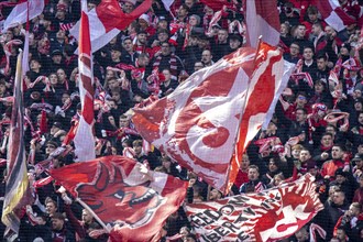 Kaiserslautern, 20/04/2024: Fans in the West Curve of the Fritz Walter Stadium. 42, 168 spectators