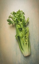 Fresh bunch of celery, top view, no people