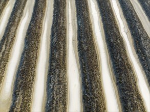 Saline ponds at the salt works near Chiclana de la Frontera. Aerial view. Drone shot. Cádiz