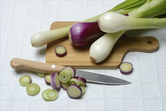 White and purple spring onions and onion slices on a wooden board, spring onion