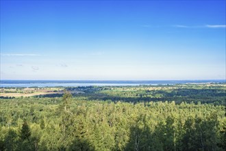 View of a forest landscape with a lake on the horizon and a clear blue sky on a sunny summer day,