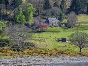 Southern coast of the Isle of Mull near Carsaig, path along the coast to Carsaig arches, Isle of