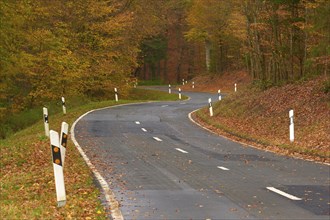 A winding road leads through an autumnal forest, covered with falling leaves, Altenbuch, Miltenberg