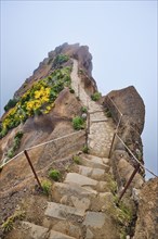 The hiking trail in mountains between Pico de Arieiro and Pico Ruivo in clouds with blooming