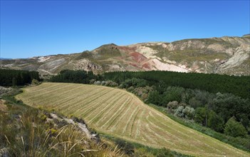 Rolling hills and densely wooded valleys in a peaceful rural area under a clear blue sky, Mirador