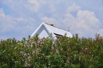 Small holiday home behind flowering oleander bushes (Nerium oleander), under a cloudy sky,