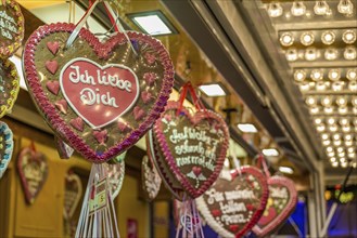 Heart-shaped gingerbread with lettering on an illuminated market stall at a festival, Cannstatter