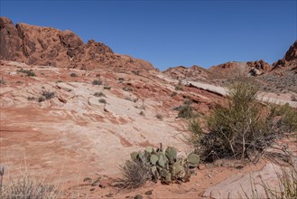 Layered rock formations along the Fire Wave Trail at Valley of Fire State Park near Overton, Nevada