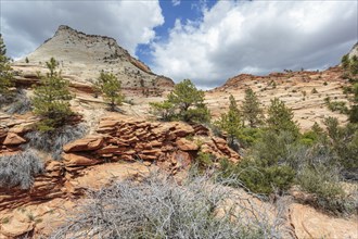 Patterns of erosion on the rock formations in Zion National Park, Utah