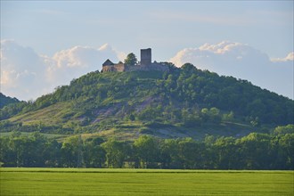 A castle ruin on a wooded hill under a blue sky with clouds, Gleichen Castle or Wanderslebener