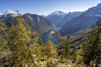 Panoramic view of the Königssee from the Archenkanzel viewpoint, autumnal forest and snow-capped