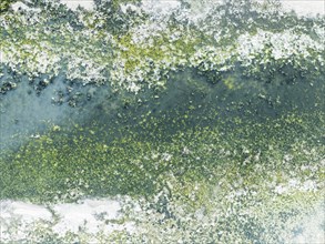 Detail of salt marshes near Sanlúcar de Barrameda. Aerial view. Drone shot. Cádiz province,