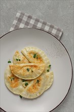 Pierogi, a traditional dish of Polish cuisine, dumplings, top view, close-up, no people