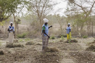 Preparation of fields by farmers during organic farming at the agroecological training centre