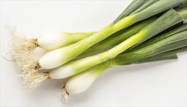 Vegetable, spring onion or spring onion, also known as winter onion, Allium fistulosum