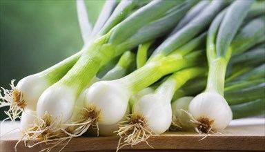 Vegetable, spring onion or spring onion, also known as winter onion, Allium fistulosum