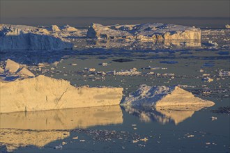 Icebergs and ice floes reflected in the water, summer, midnight sun, Jakobshavn glacier and ice