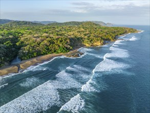 Aerial view, rainforest, sandy beach and coast with waves, Playa Cocalito, Puntarenas, Costa Rica,