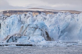 Calving glacier, calving, edge of Negribreen, Stjorfjord, Spitsbergen Island, Svalbard and Jan