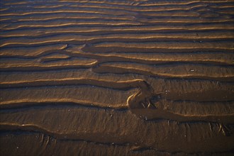 Sand ripples, wavy lines in the sand, structure, sandy beach, Meia Praia beach, Lagos, Atlantic