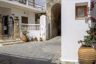 A narrow, cobbled alleyway with white Mediterranean buildings and flower pots containing flowers,