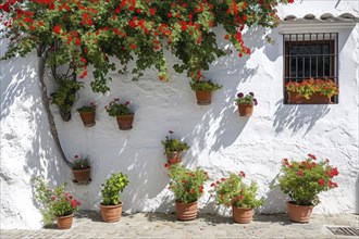 Typical architecture of spanish colonial houses in historic city center, AI generated