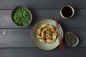 Japanese fried gyoza dumplings, with pork, sesame seeds, green onions