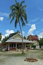 Tropical idyll in the Wat Khiri Mat temple complex, coconuts in front of the prayer hall, Phang Ka,