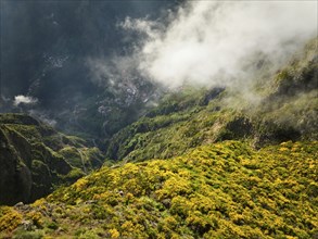 Aerial drone view of Curral das Freiras village from Miradouros do Paredao with blooming yellow