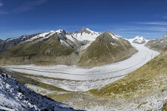 Aletsch glacier, glacier tongue, panorama, climate change, decline, global warming, ice, global