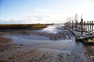 Low water, Ems, silt inflow, boat harbour, Petkum, East Frisia, Germany, Europe