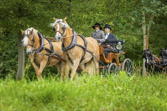 Presentation and route ride, all carriages in stylish tension, popular sporting event over approx.