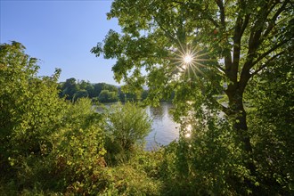 Sunny day at a river with lush vegetation and a shining sunbeam through the trees, autumn,