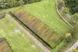 Aerial view of a timber yard, tree trunks get conservated by sprinkling water on the wood, Germany,