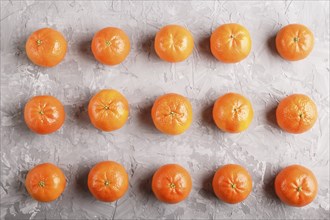 Rows of tangerines on a gray concrete background, top view, flat lay