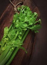 Fresh bunch of celery, top view, no people, on a dark background