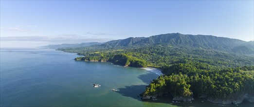 Aerial view, ocean and coast with rainforest, Playa Ventanas, Puntarenas province, Costa Rica,