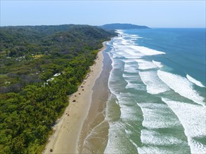 Aerial view, rainforest, sandy beach and coast with waves, Playa Cocalito, Puntarenas, Costa Rica,