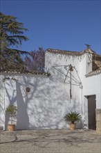 White Mediterranean-style building wall with plants in pots and shade on the ground under a clear