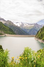 Tranquil lake between mountains with a dam wall, surrounded by green vegetation and flowers, Klein