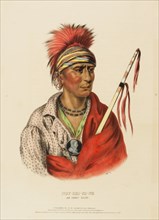 Not-Chi-Mi-Ne. An Ioway Chief (1838), Native American, Historical Native American tribes from North