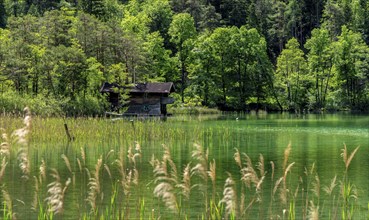 Landscape at Lake Thumsee, Bad Reichenhall, Bavaria, Germany, Europe