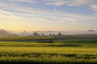 Sunrise with fog, Uigendorf near Unlingen, Swabian Alb, Upper Swabia, Swabia, Baden-Württemberg,