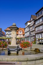 Fountain on the market square, Allendorf district, Bad Sooden-Allendorf, Werratal, Werra-Meißner