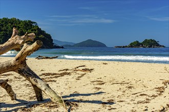 Deserted Bonete beach on the island of Ilhabela on the north coast of São Paulo, Bonete beach,